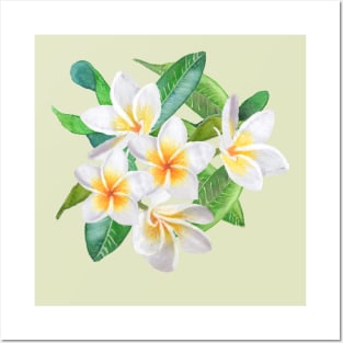 Tropical Frangipani - green mist Posters and Art